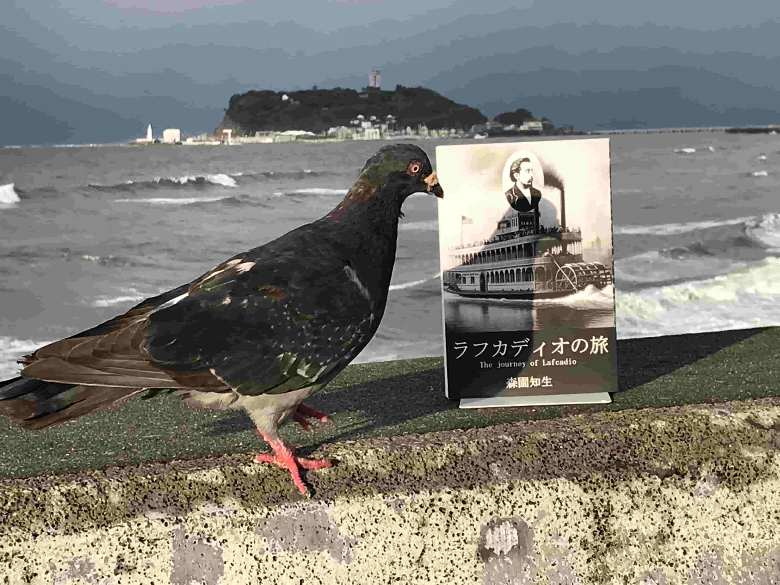 朝の七里ヶ浜「夏・秋編」（3） - 鎌倉と江ノ島のはざまで