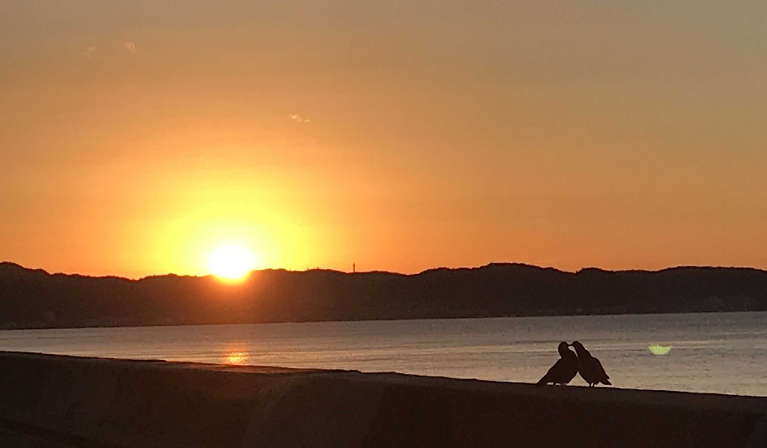 朝焼けが消える前に - 鎌倉と江ノ島のはざまで